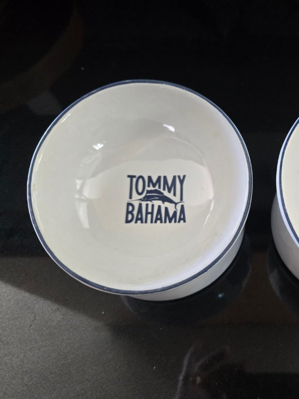 2 Tommy Bahama Pet Bowls